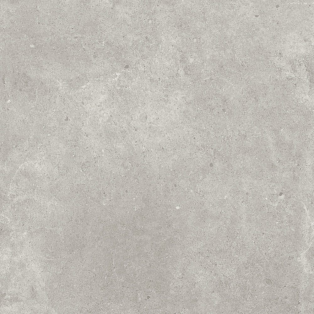 Paradigm Tortora Lappato